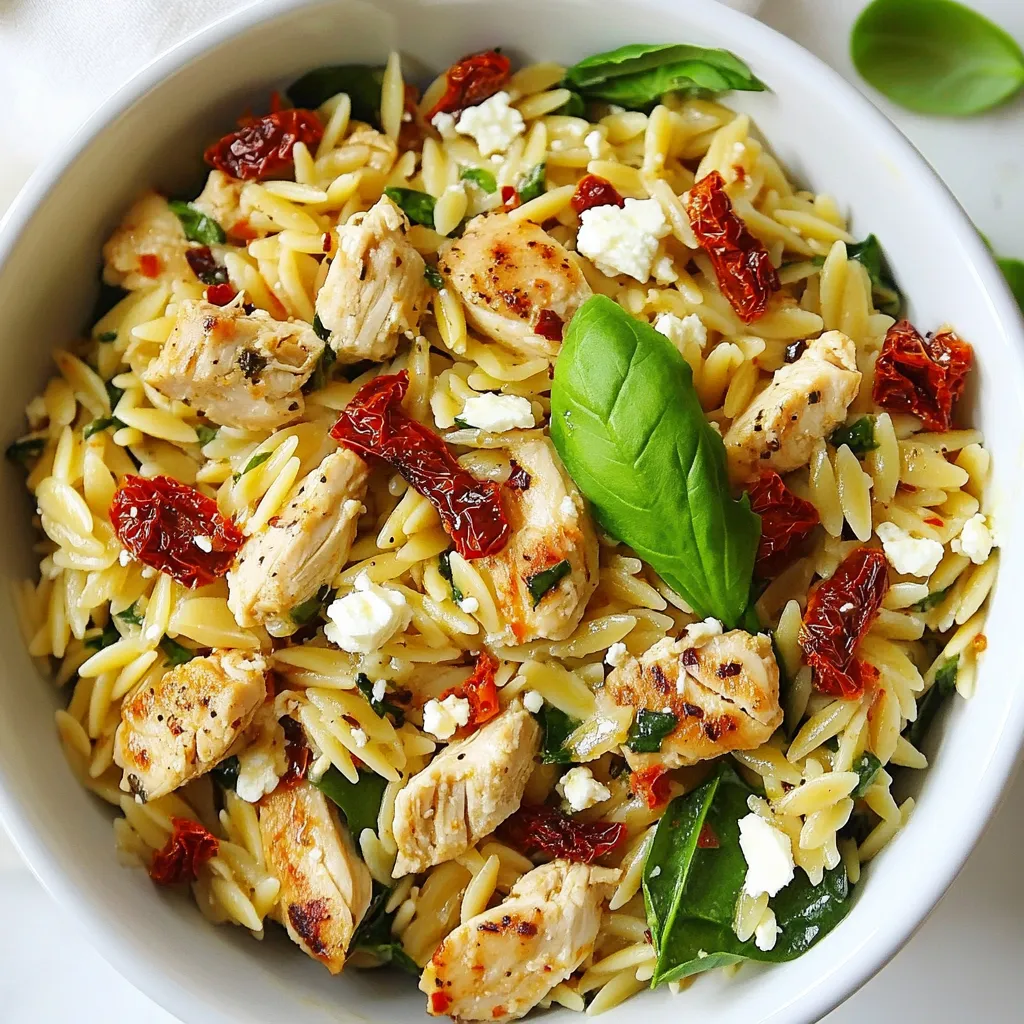 Savory Sun Dried Tomato Chicken Orzo Delight